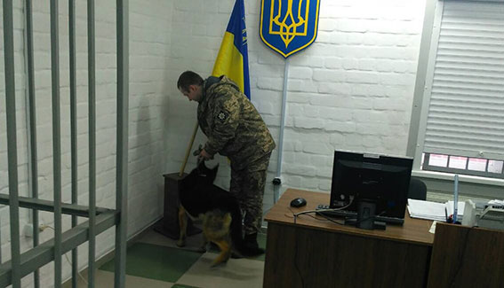 Информация о минировании здания суда в Николаеве не подтвердилась